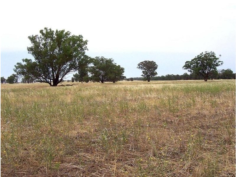 Wirrinya NSW 2871
