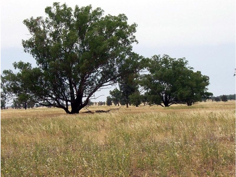 Wirrinya NSW 2871