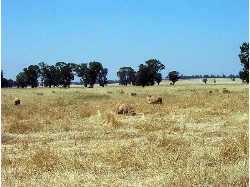 Wirrinya NSW 2871
