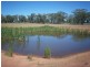 1 Back Trundle Road, Trundle NSW 2875
