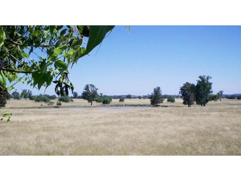 . MERCADOOL LANE, Bogan Gate NSW 2876