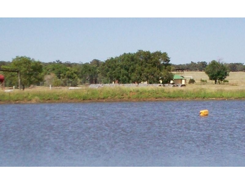 . MERCADOOL LANE, Bogan Gate NSW 2876