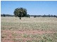 . MERCADOOL LANE, Bogan Gate NSW 2876