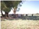 Warroo NSW 2871