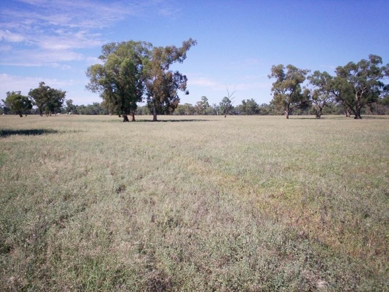 Warroo NSW 2871