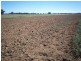 Warroo NSW 2871