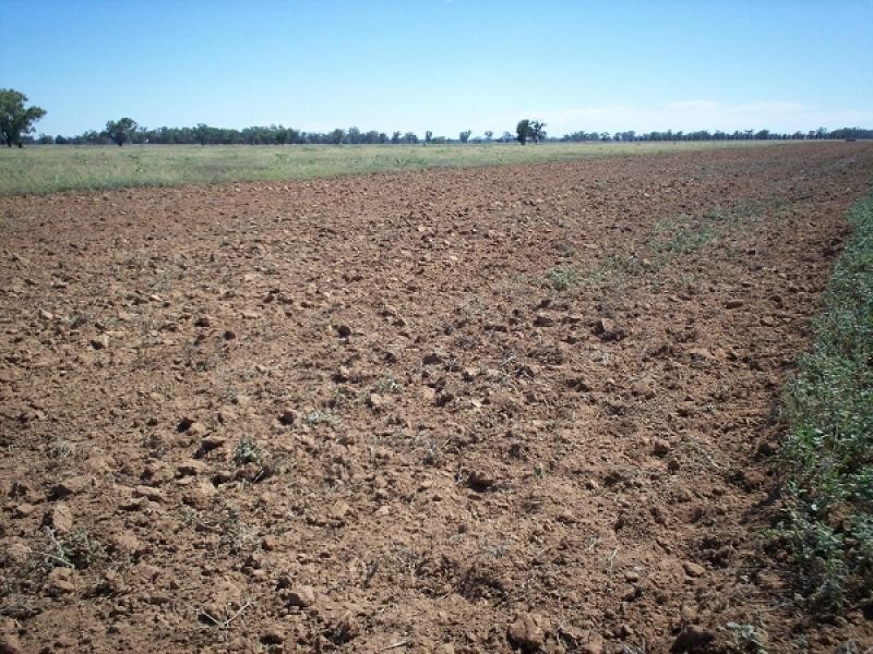 Warroo NSW 2871