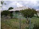 74 FARRAND STREET, Forbes NSW 2871