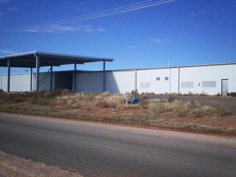 15 Landrace Rd, Forbes NSW 2871