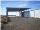 15 Landrace Rd, Forbes NSW 2871