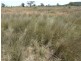 Condobolin NSW 2877