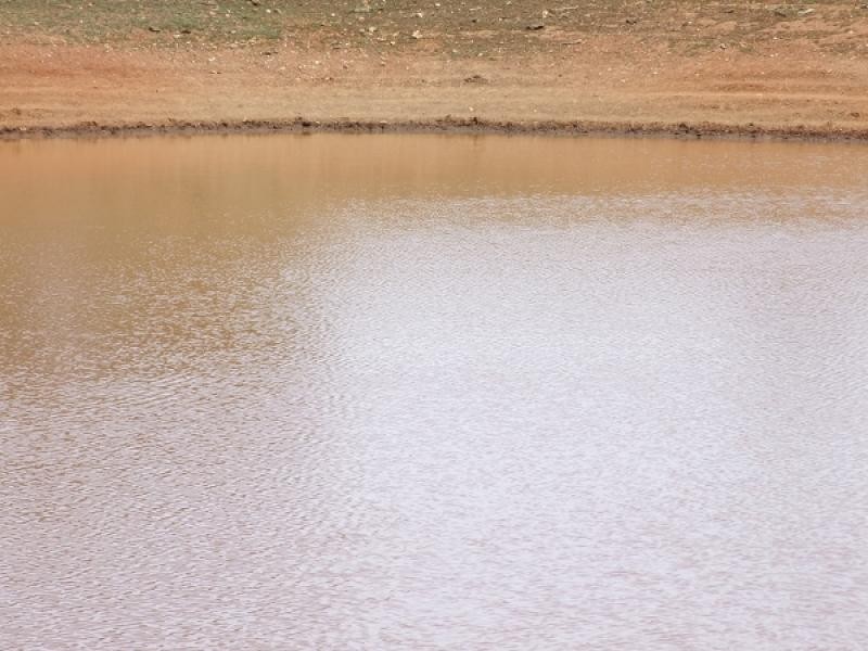Condobolin NSW 2877