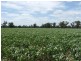 Corinella NSW 2871