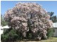 Corinella NSW 2871