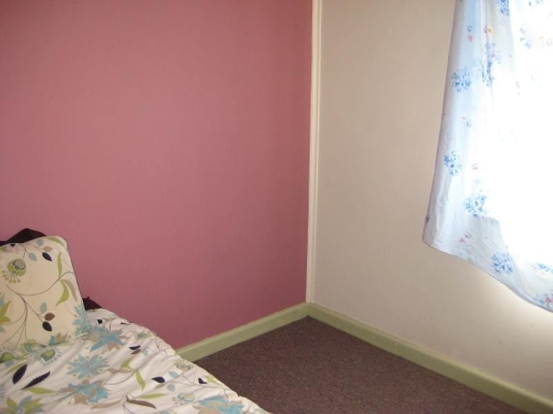 15 Grenfell Street, Forbes NSW 2871