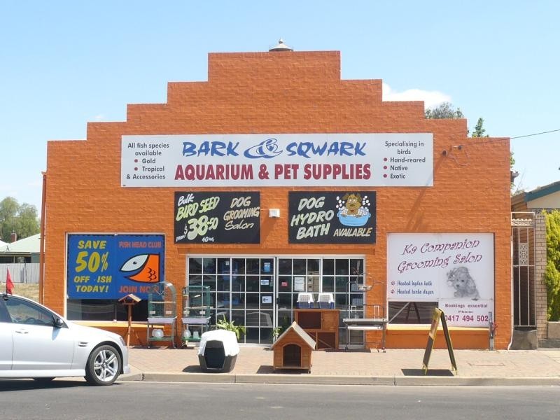 21 Dowling St, Forbes NSW 2871