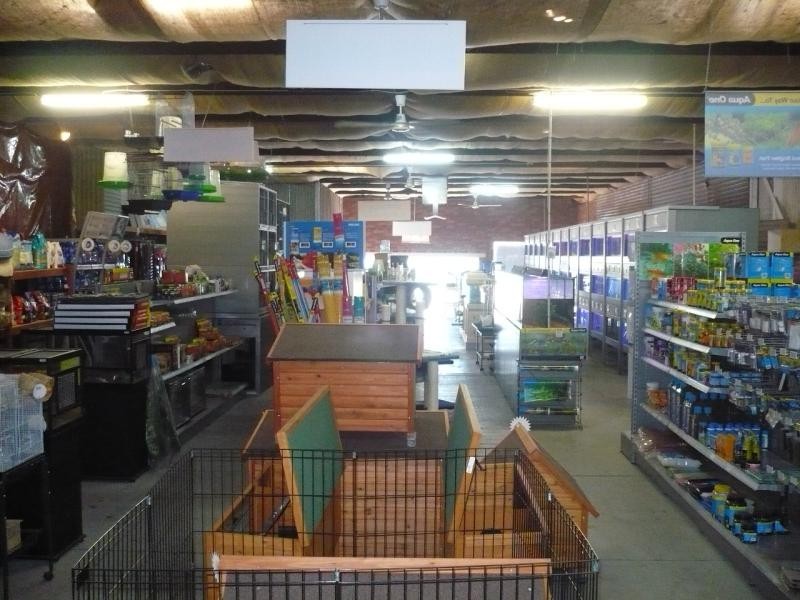 21 Dowling St, Forbes NSW 2871