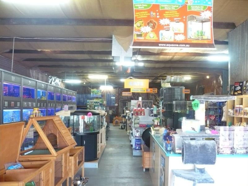 21 Dowling St, Forbes NSW 2871