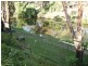 138 Flint Street, Forbes NSW 2871