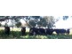 Forbes NSW 2871