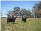 Forbes NSW 2871