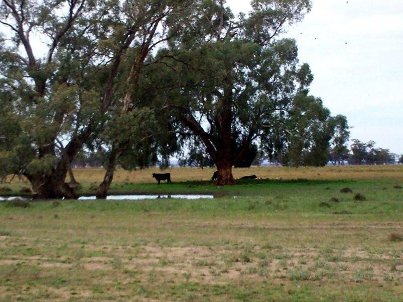 Forbes NSW 2871