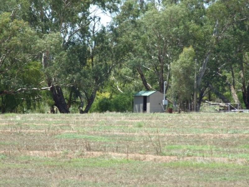 Lot 16 North Forbes Road, Condobolin NSW 2877