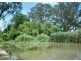 Lot 16 North Forbes Road, Condobolin NSW 2877