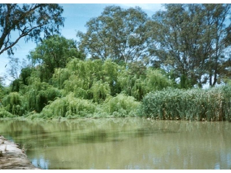 Lot 16 North Forbes Road, Condobolin NSW 2877