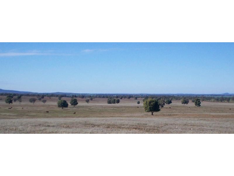 Condobolin NSW 2877