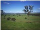 363 Tom and Bill Rd, Forbes NSW 2871