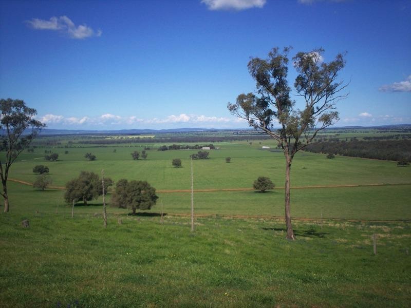 363 Tom and Bill Rd, Forbes NSW 2871