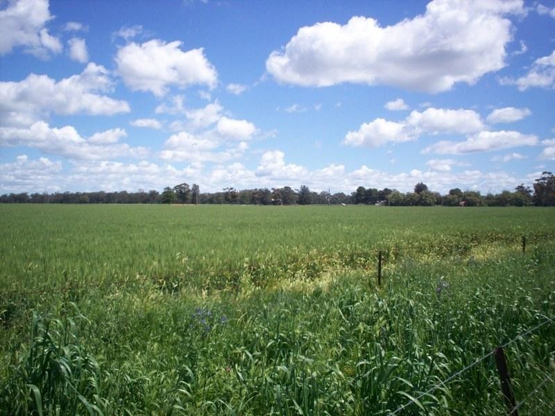 363 Tom and Bill Rd, Forbes NSW 2871