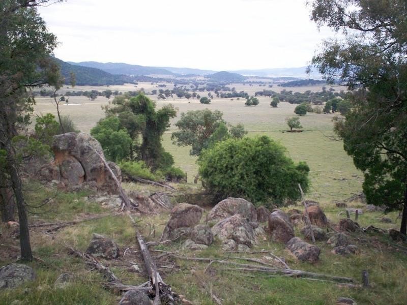 1135 Mackeys Creek Rd, Eugowra NSW 2806