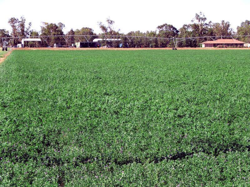 94R NARROMINE ROAD, Dubbo NSW 2830