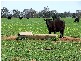 50L COOLBAGGIE FOREST ROAD, Dubbo NSW 2830