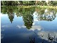 50L COOLBAGGIE FOREST ROAD, Dubbo NSW 2830