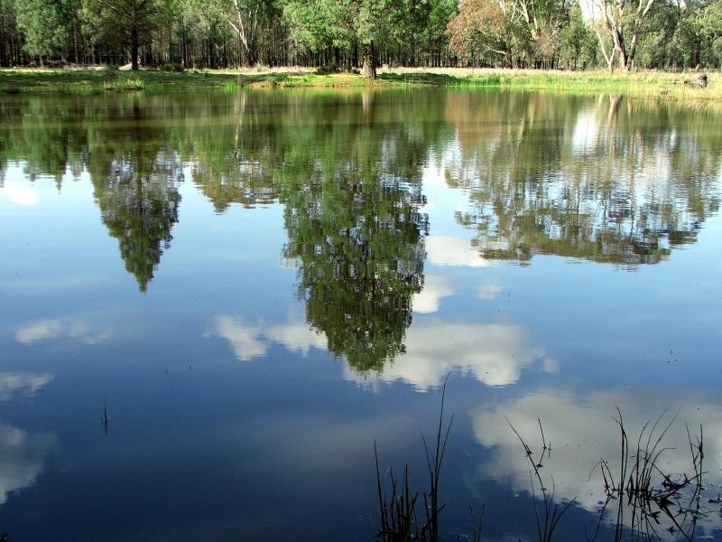 50L COOLBAGGIE FOREST ROAD, Dubbo NSW 2830