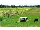 50L COOLBAGGIE FOREST ROAD, Dubbo NSW 2830