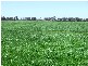 50L COOLBAGGIE FOREST ROAD, Dubbo NSW 2830