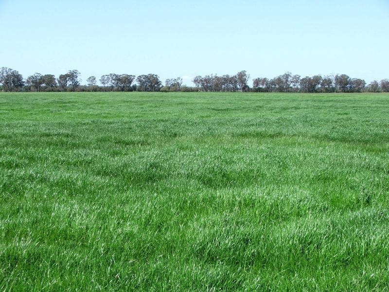 50L COOLBAGGIE FOREST ROAD, Dubbo NSW 2830