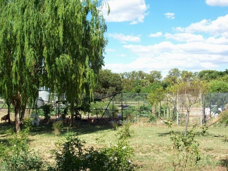 0 Coninimba St, Coonamble NSW 2829