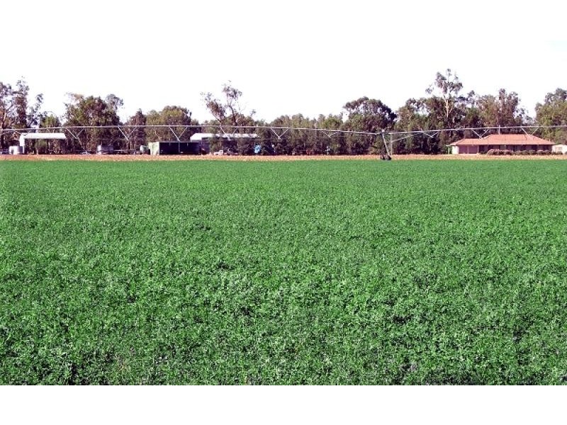 94R NARROMINE ROAD, Dubbo NSW 2830