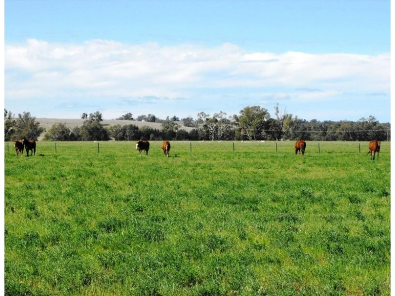 Dubbo NSW 2830