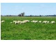 Dubbo NSW 2830
