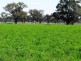 Dubbo NSW 2830