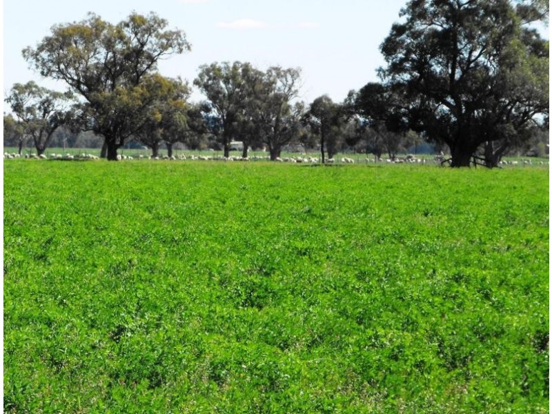 Dubbo NSW 2830