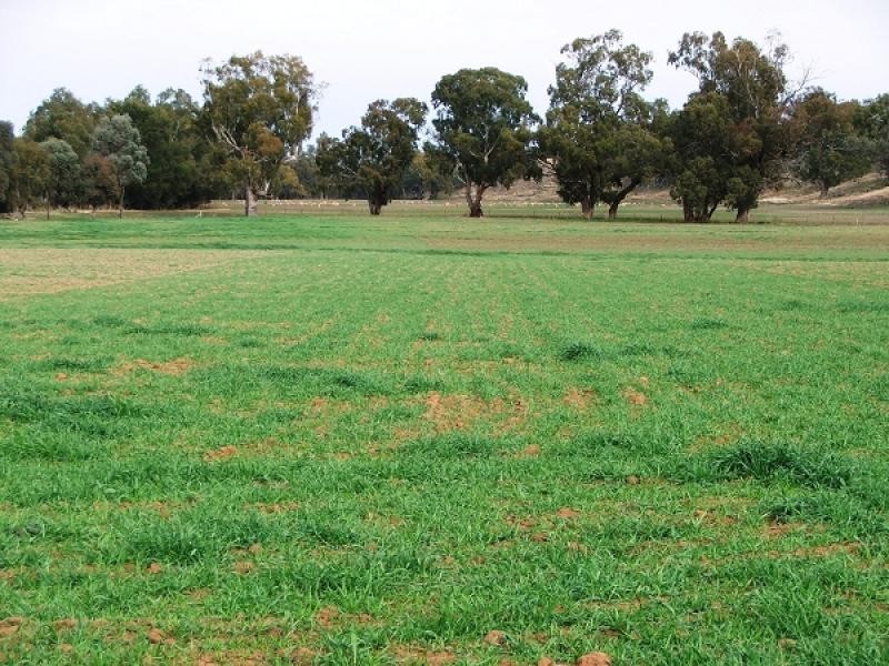 Dubbo NSW 2830