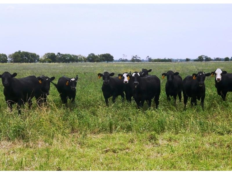 Dubbo NSW 2830