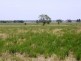 Dubbo NSW 2830